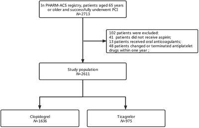 Ticagrelor vs. Clopidogrel in Older Patients With Acute Coronary Syndrome Undergoing Percutaneous Coronary Intervention: Insights From a Real-World Registry